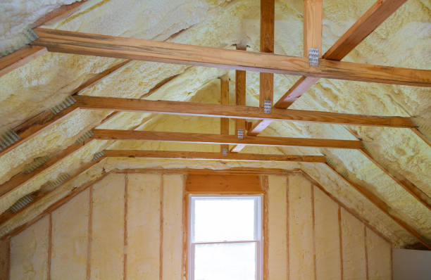 Best Professional Insulation Contractor  in Buchanan, GA