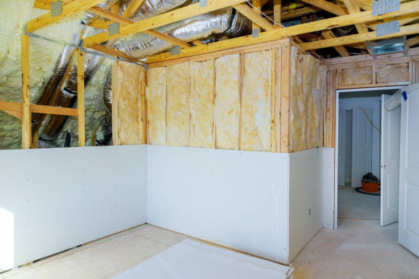Professional Insulation Contractor in Buchanan, GA