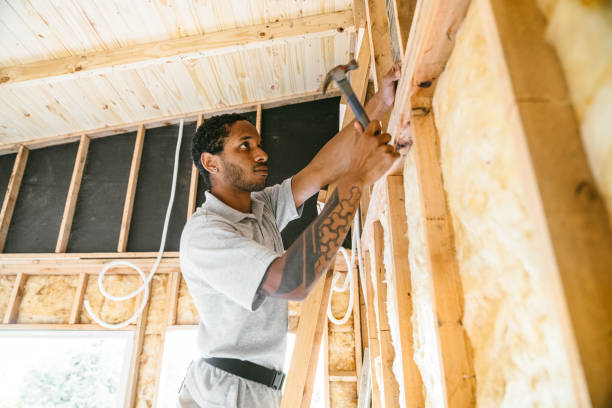 Best Cellulose Insulation  in Buchanan, GA
