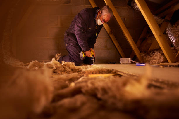 Trusted Buchanan, GA Insulation Contractor Experts