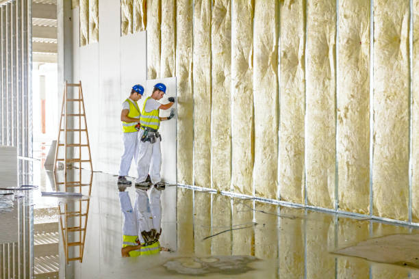 Best Insulation Contractor Near Me  in Buchanan, GA